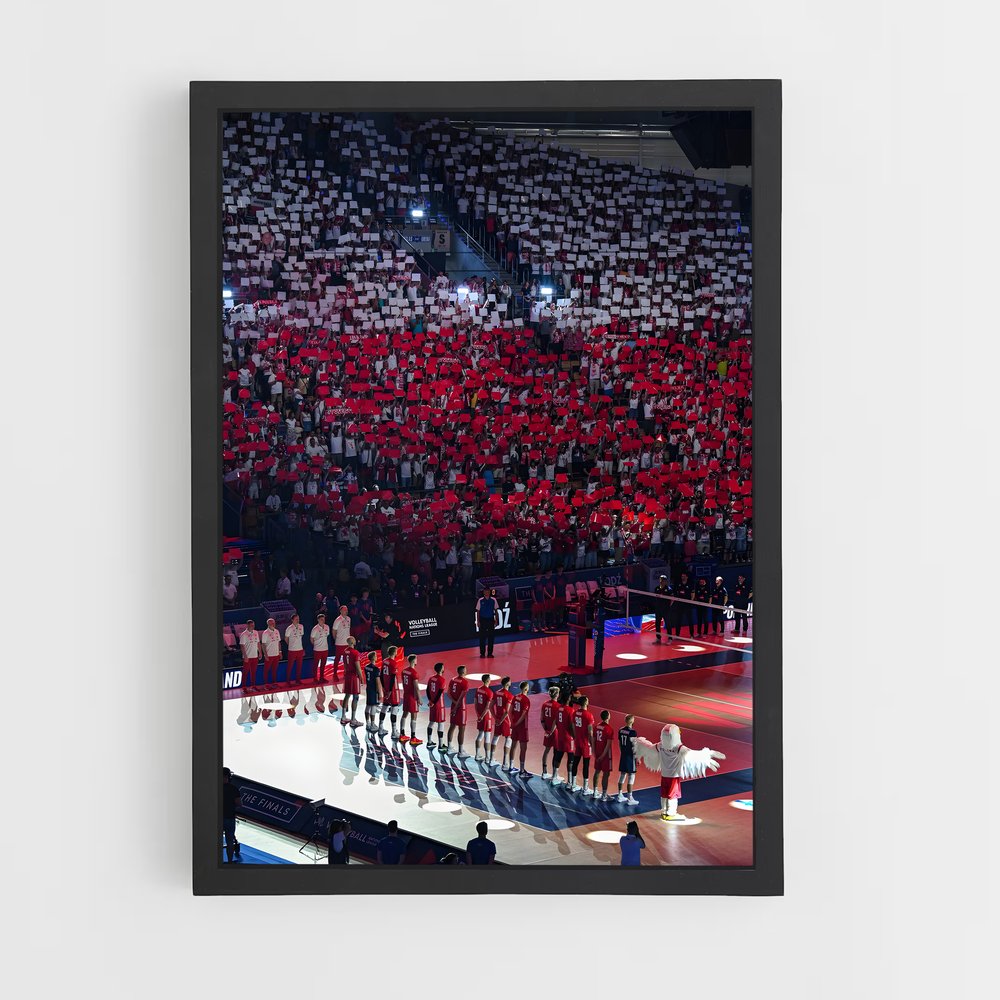 Poster La Fureur de la Foule – affiche Volleyball (vue 2)